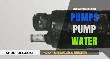 Can Automotive Fuel Pumps Handle Water? Exploring the Limits