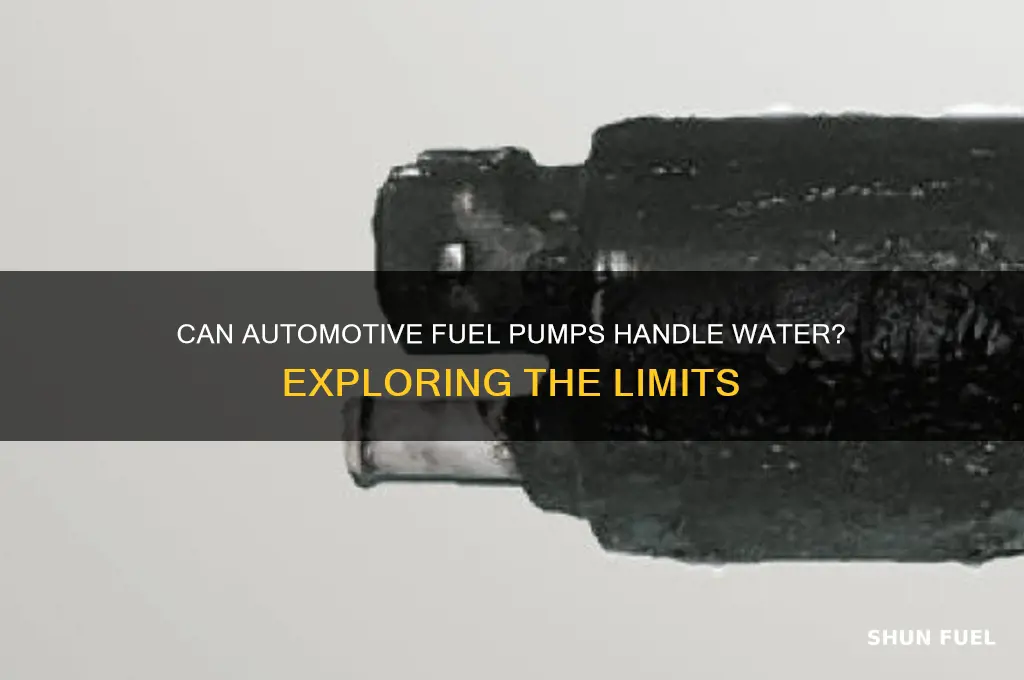 can automotive fuel pumps pump water