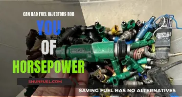 Fuel Injectors: Power Robbers or Performance Partners?