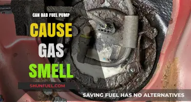 Can a Faulty Fuel Pump Cause a Gasoline Odor?