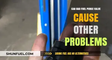 Bad Fuel Purge Valve: Hidden Causes of Major Engine Problems