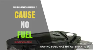 Can a Faulty Ignition Module Prevent Fuel Delivery to Engine?