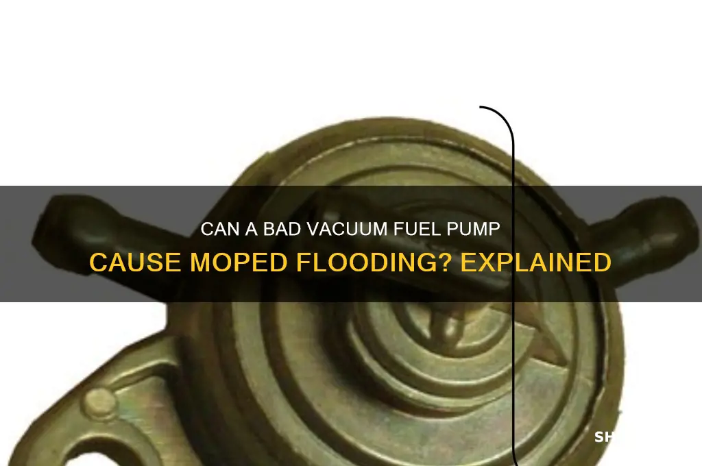 can badd vaccumme fuel pump flood moped