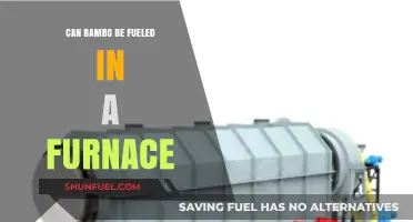 Can Bamboo Fuel Your Furnace? Exploring Eco-Friendly Heating Options