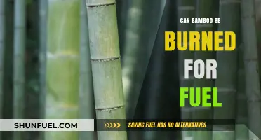 Is Bamboo a Sustainable Fuel Source? Burning Potential Explored