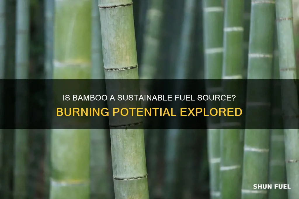 can bamboo be burned for fuel