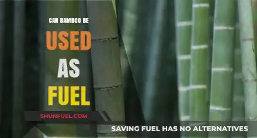 Bamboo as Fuel: Sustainable Energy Source or Myth?