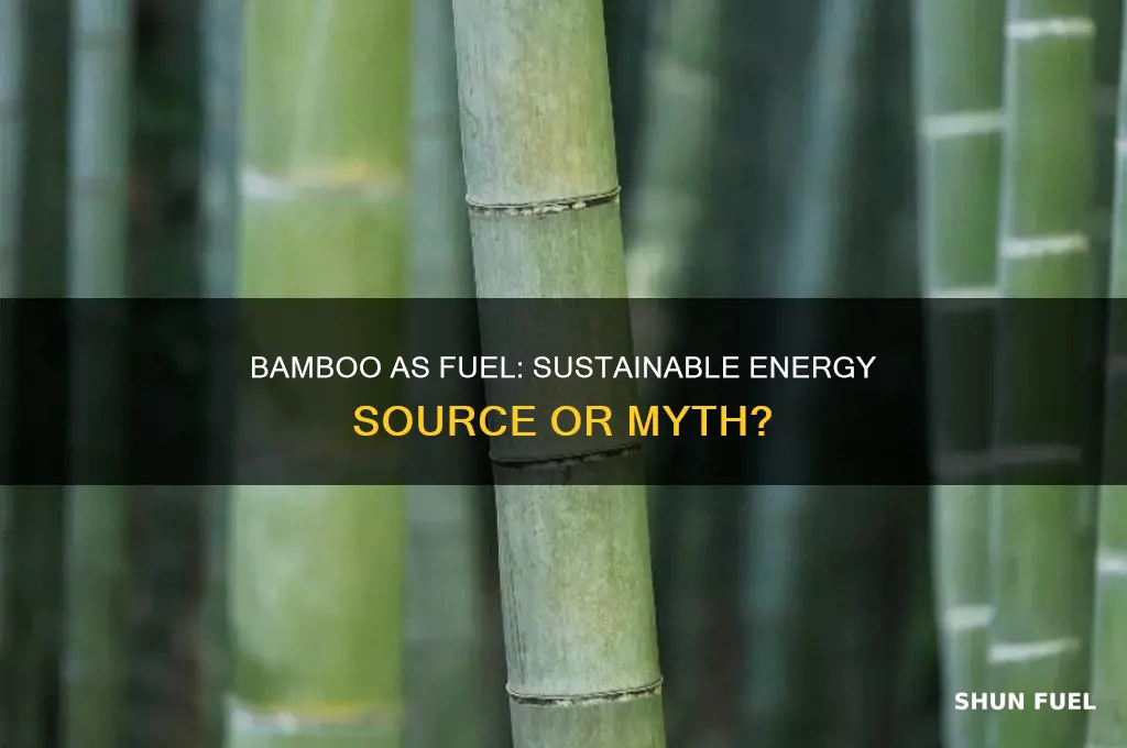 can bamboo be used as fuel