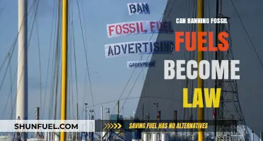Fossil Fuel Ban: Law or Fantasy?