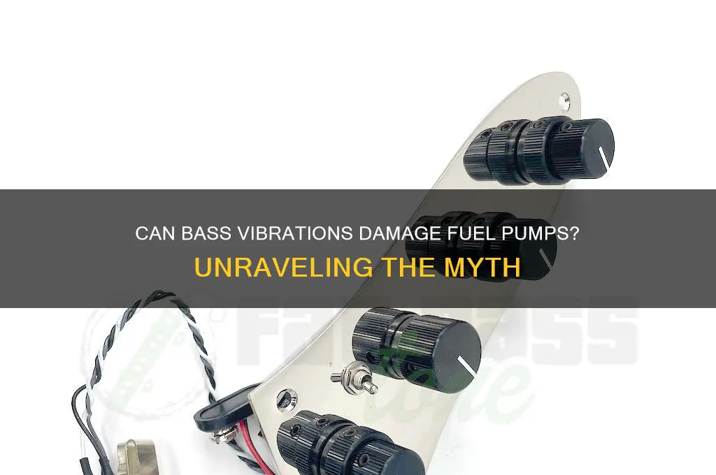 can bass destroy fuel pump