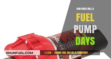 Can Bass Vibrations Damage Fuel Pumps Over Time? Exploring the Myth