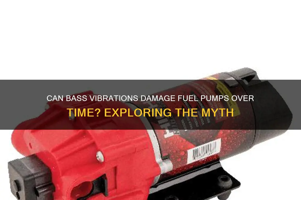 can bass kill a fuel pump days