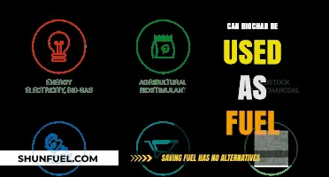 Biochar as Fuel: Sustainable Energy Source or Myth?