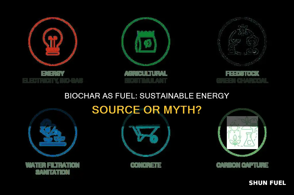 can biochar be used as fuel