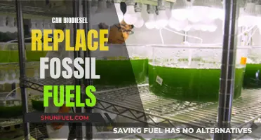 Biodiesel: A Sustainable Alternative to Fossil Fuels?