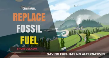 Biofuel: A Sustainable Alternative to Fossil Fuels?
