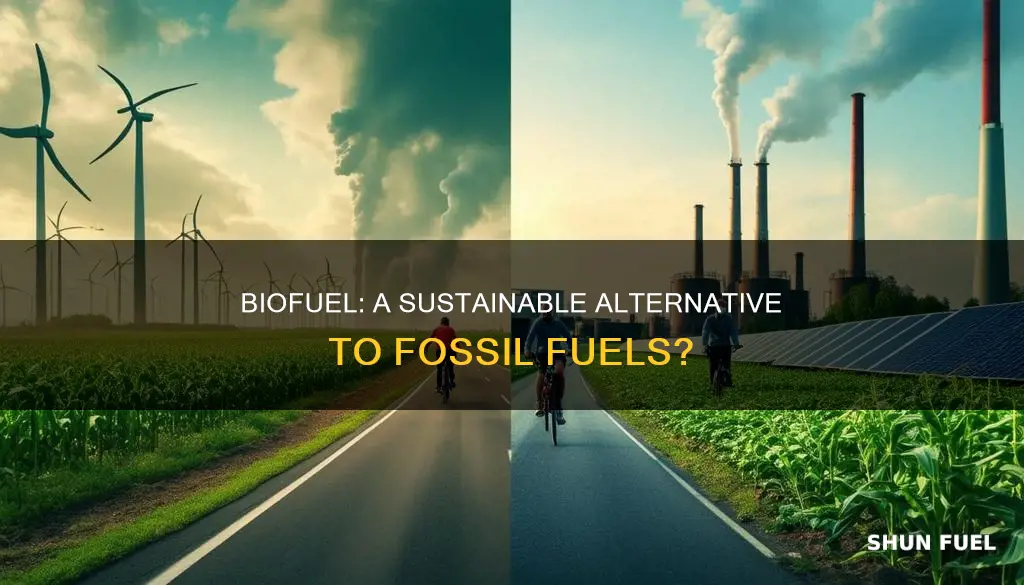 can biofuel replace fossil fuel