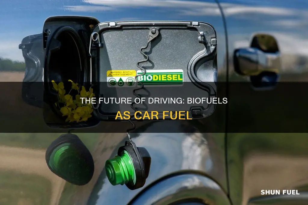 can biofuels be used as car fuel