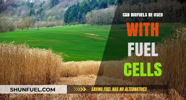 Biofuels and Fuel Cells: Exploring Compatibility for Sustainable Energy Solutions