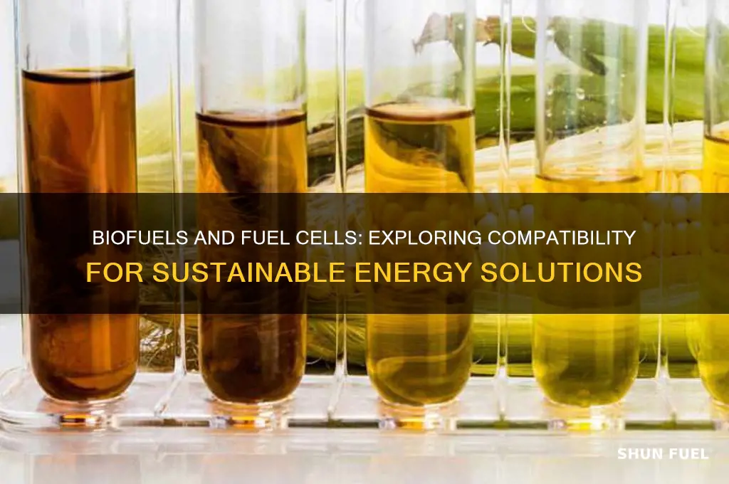 can biofuels be used with fuel cells