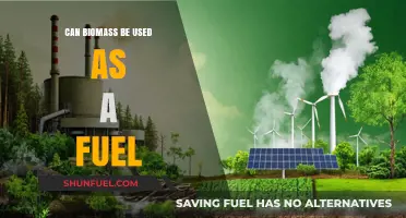 Exploring Biomass: A Sustainable Fuel Alternative for a Greener Future