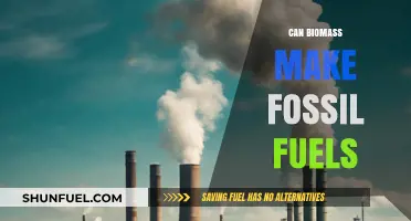 Biomass: The Future of Fossil Fuels?