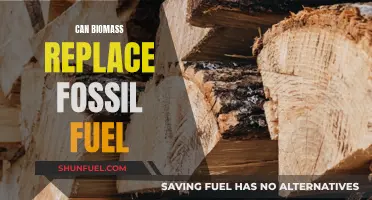 Biomass: A Sustainable Alternative to Fossil Fuels?