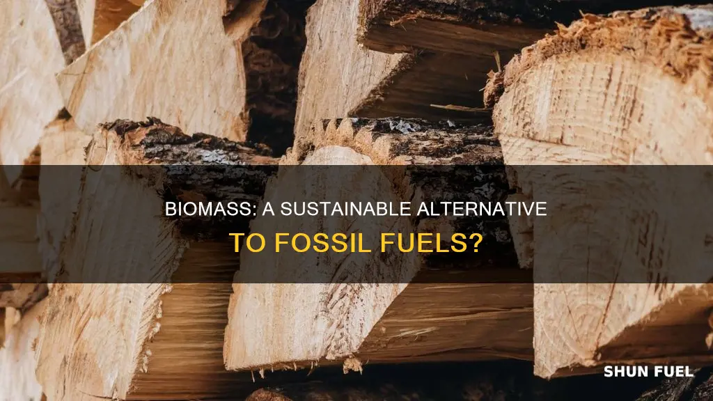 can biomass replace fossil fuel