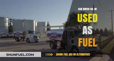 Birch Oil as Fuel: A Sustainable Alternative Energy Source?