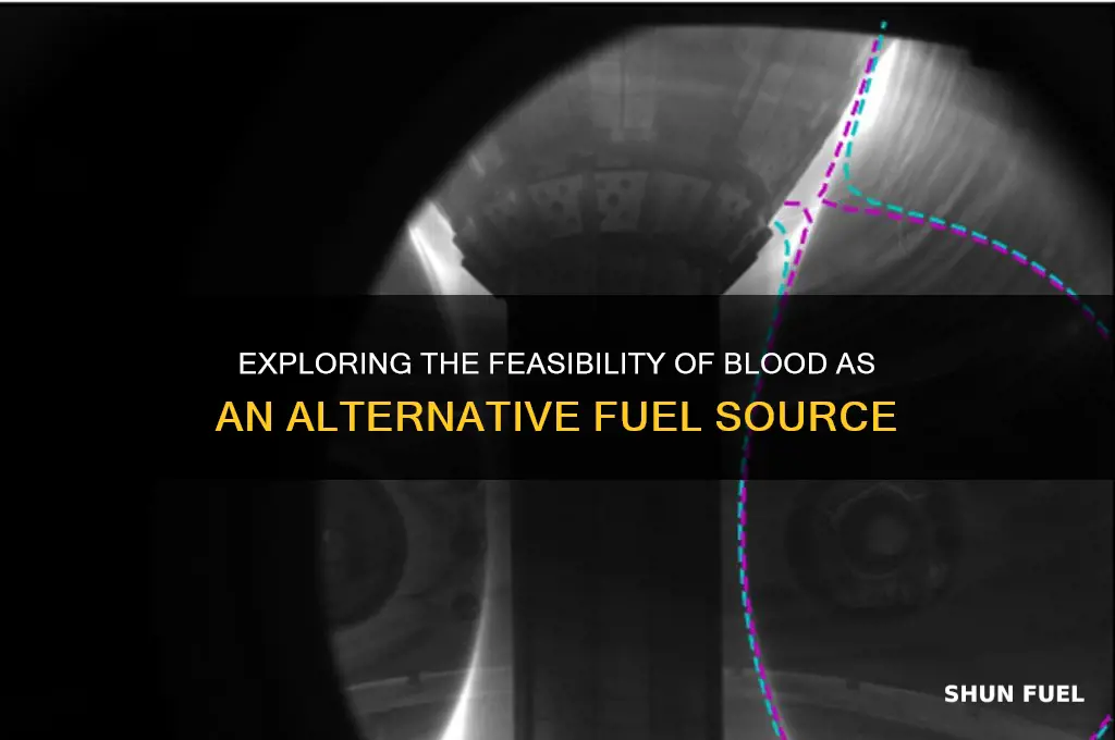 can blood be used as fuel
