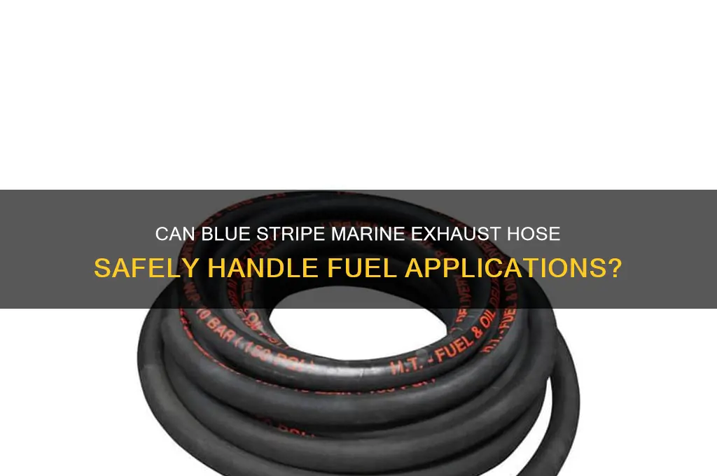 can blue stripe marine exhaust hose be used for fuel