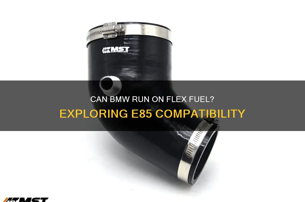 can bmw use flex fuel