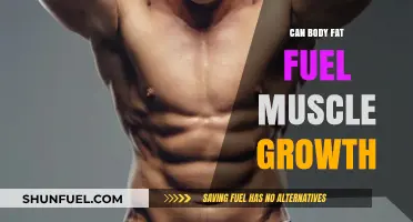Can Body Fat Fuel Muscle Growth? Unlocking Metabolic Secrets