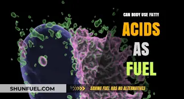 Unlocking Energy: How Your Body Utilizes Fatty Acids as Fuel