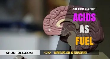 Can Your Brain Run on Fatty Acids? Unlocking Fuel Secrets