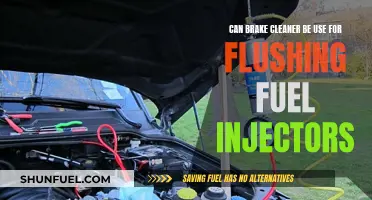 Brake Cleaner for Fuel Injectors: A Good Idea?