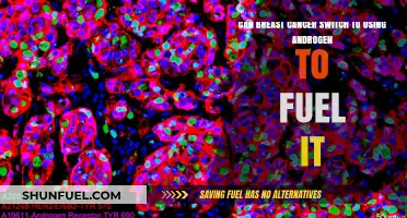 Breast Cancer's Fuel Switch: Exploring Androgen's Role in Tumor Growth
