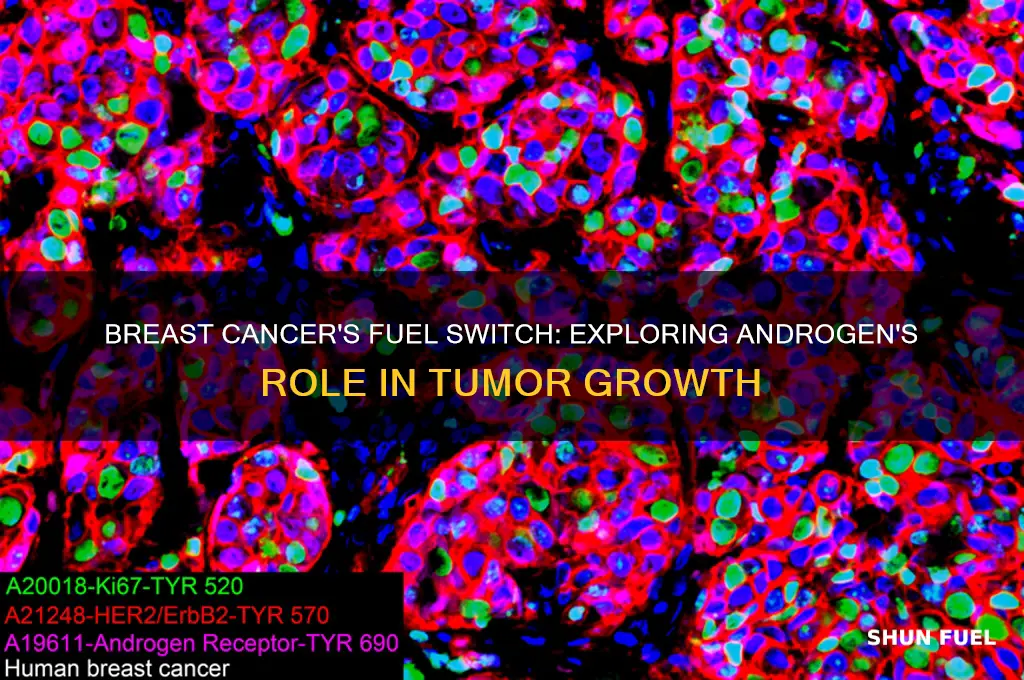 can breast cancer switch to using androgen to fuel it
