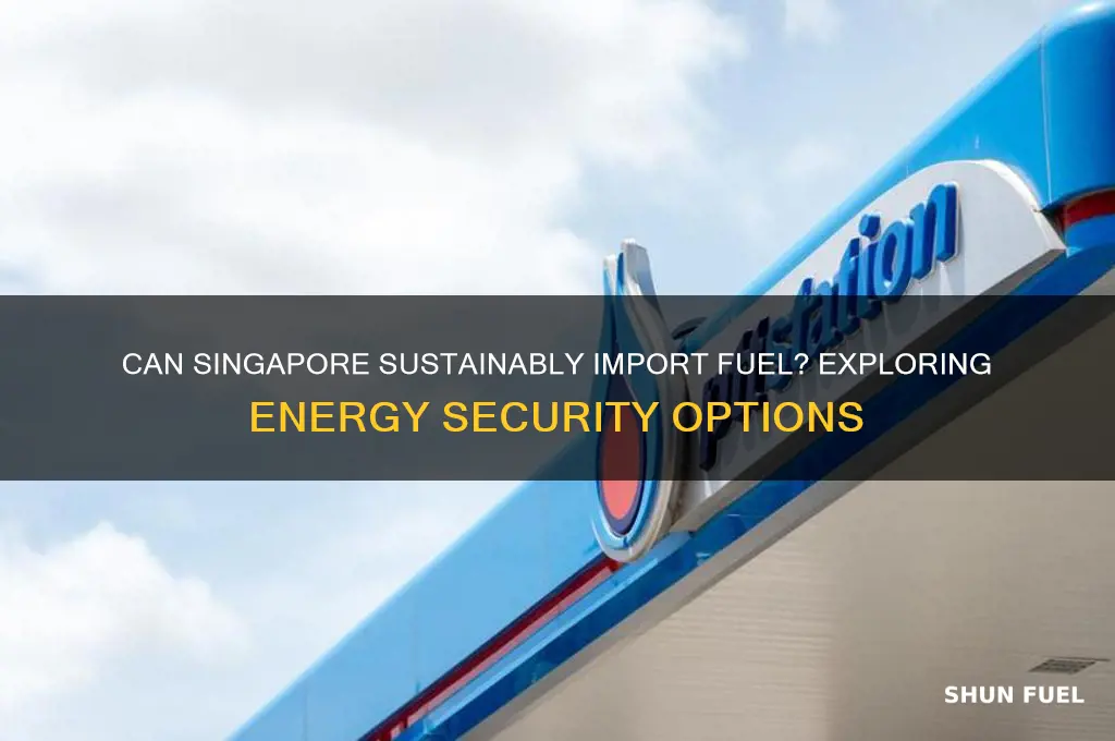 can bring fuel to sg