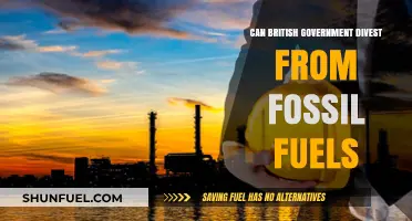 UK Divesting Fossil Fuels: A Realistic Possibility?