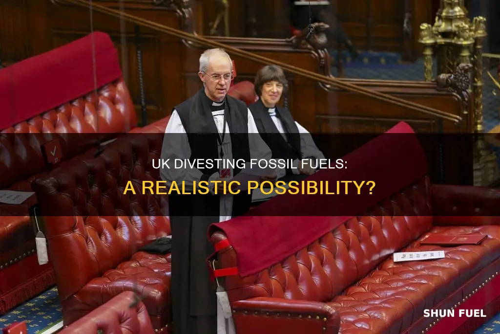 can british government divest from fossil fuels