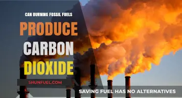 Fossil Fuels: Carbon Dioxide's Dark Source