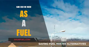 Exploring CO2 as a Sustainable Fuel Source: Possibilities and Challenges
