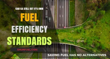 Can California Maintain Its Fuel Efficiency Standards Autonomy?
