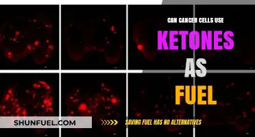 Ketones as Fuel: Can Cancer Cells Utilize Them for Growth?