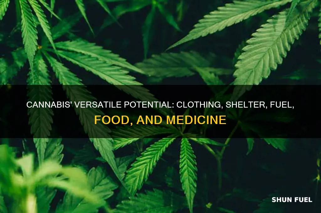 can canibis clothe shelter fuel feed and medicate