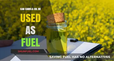 Canola Oil as Fuel: A Viable Alternative Energy Source?