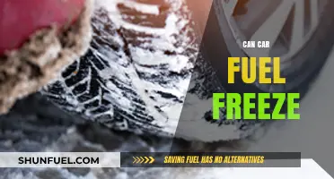 Can Car Fuel Freeze? Understanding Winter Fuel Storage and Prevention