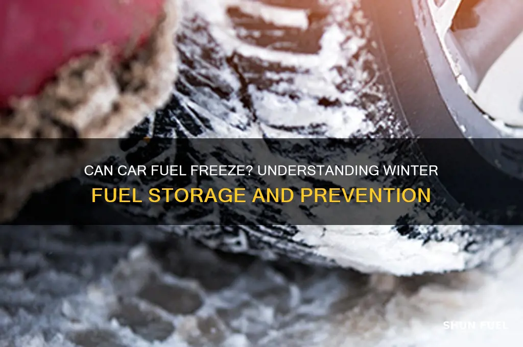 can car fuel freeze