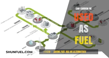 Exploring Carbon's Potential: Can It Be a Sustainable Fuel Source?